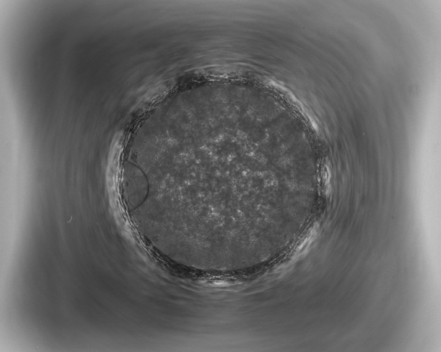 X0000087640913200705101044