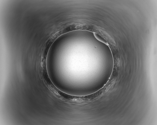 X0000087640914200705101044