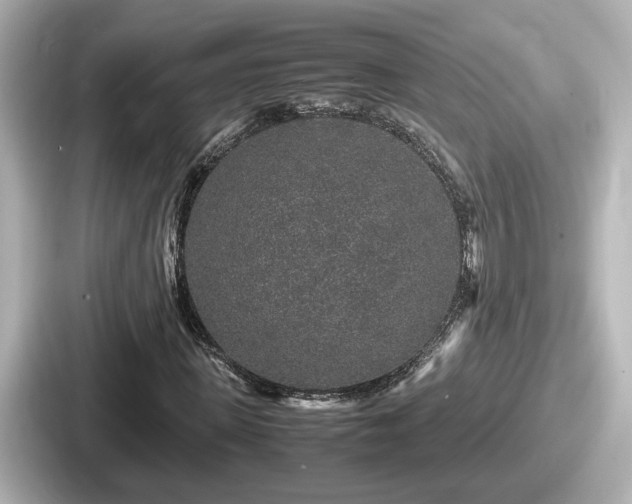 X0000087640915200705101044