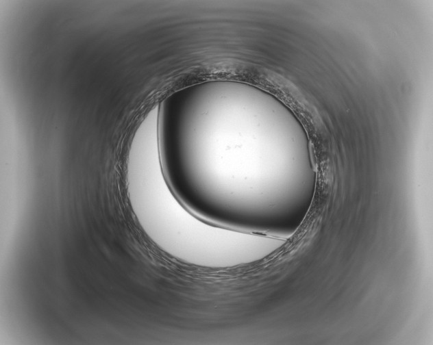 X0000087640916200705101044