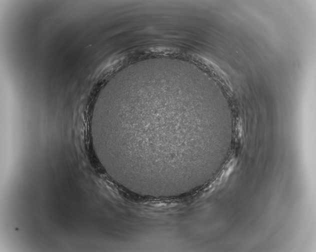 X0000087640917200705101044