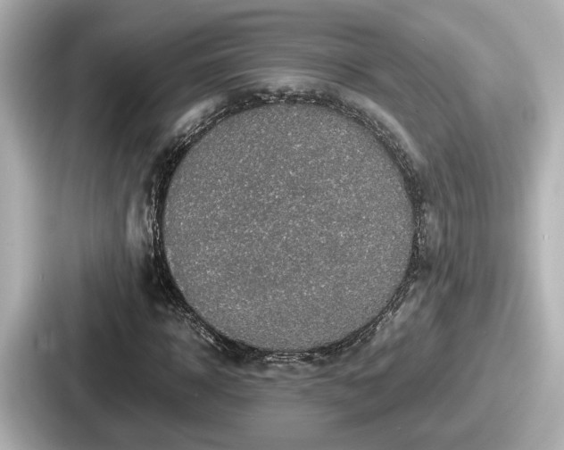 X0000087640918200705101044