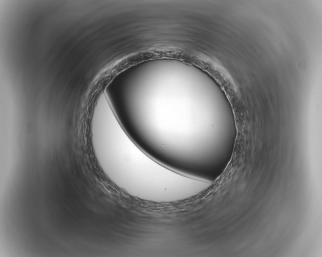 X0000087640920200705101044