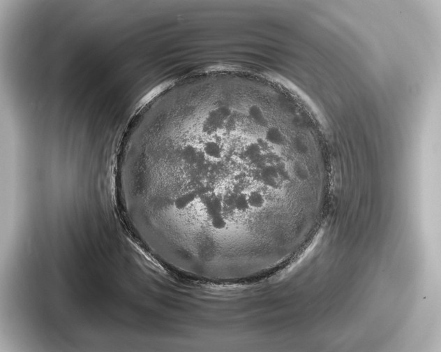 X0000087640921200705101044