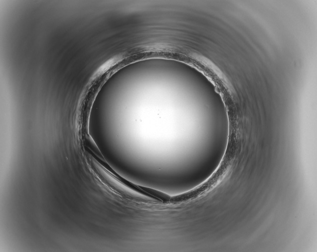 X0000087640922200705101044