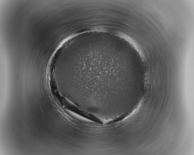 X0000087640923200705101044