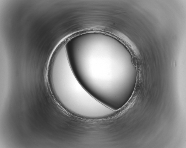 X0000087640924200705101044