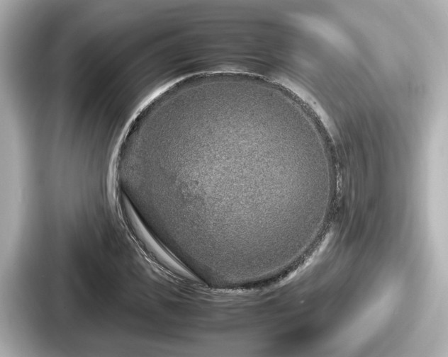 X0000087640925200705101044