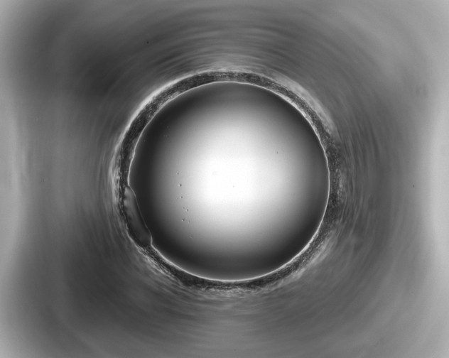 X0000087640926200705101044