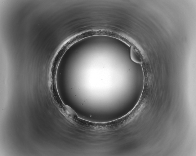 X0000087640927200705101044