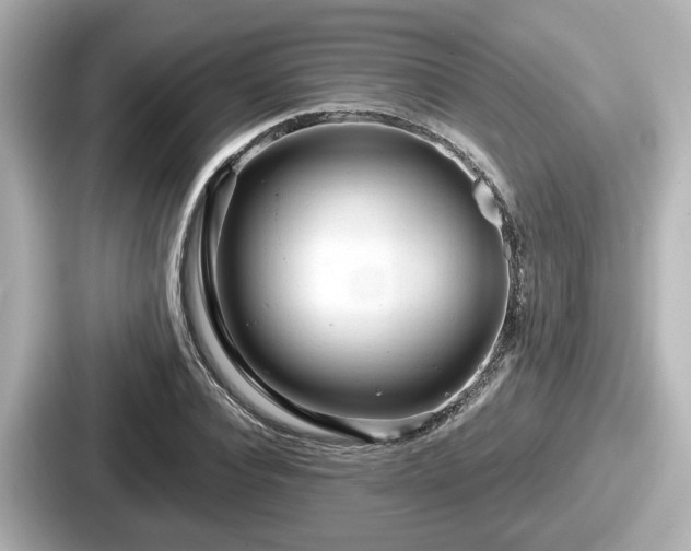 X0000087640928200705101044