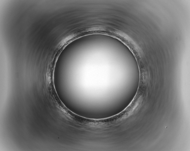 X0000087640929200705101044