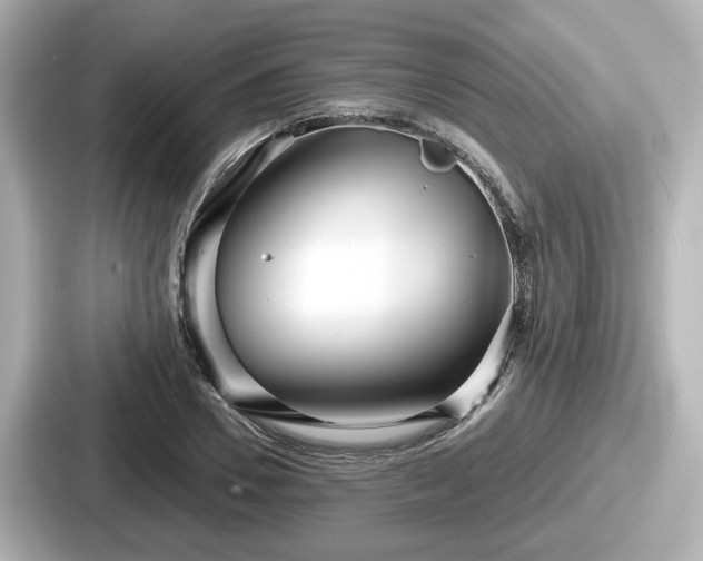 X0000087640930200705101044