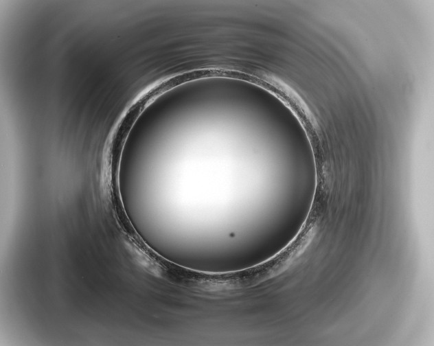 X0000087640931200705101044