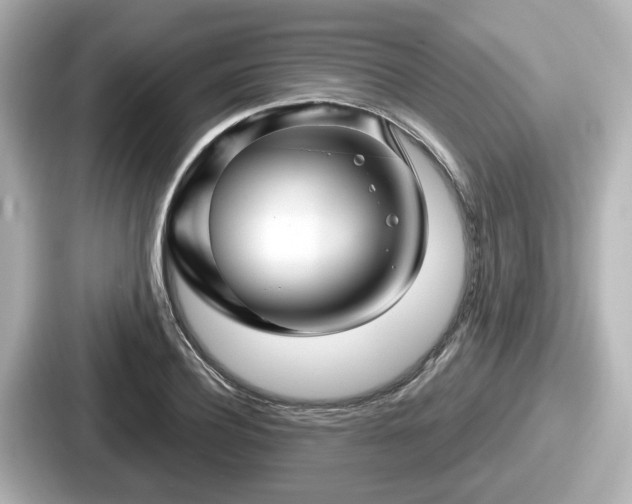 X0000087640932200705101045