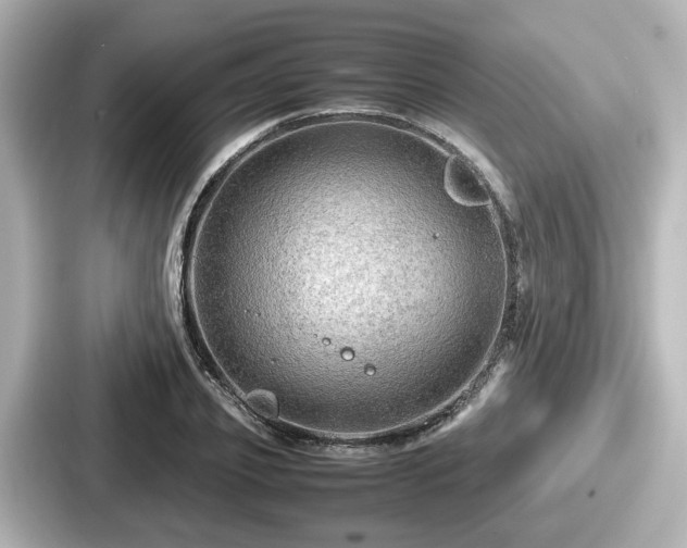 X0000087640933200705101045