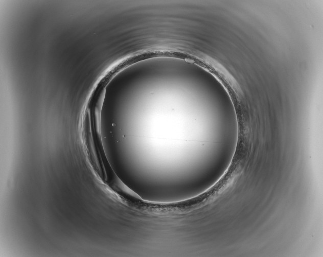 X0000087640934200705101045