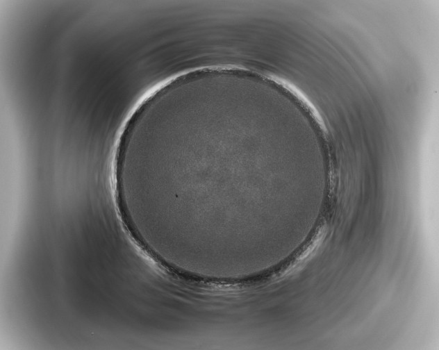 X0000087640935200705101045