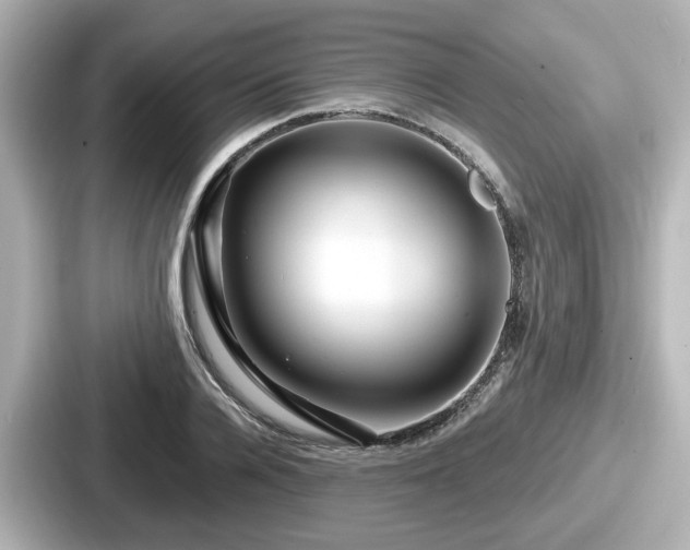 X0000087640936200705101045