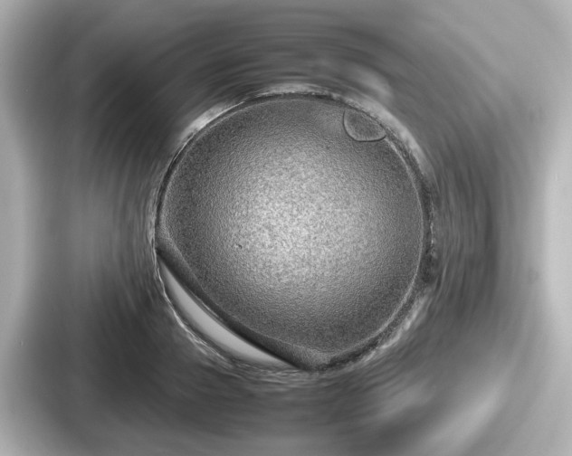 X0000087640937200705101045