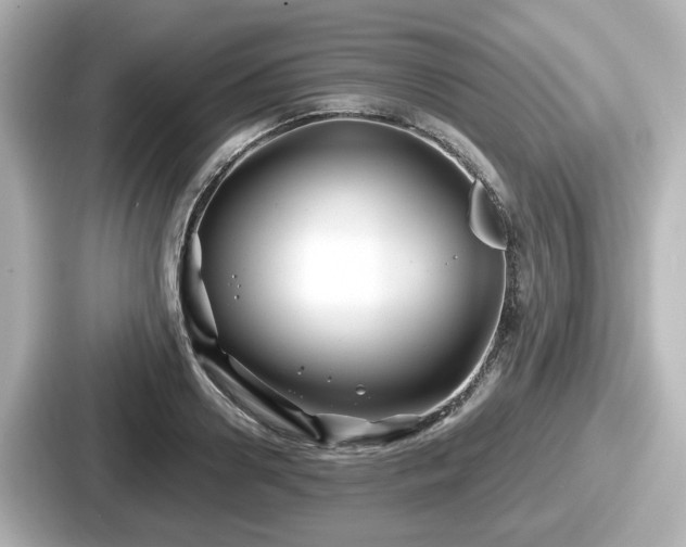 X0000087640938200705101045