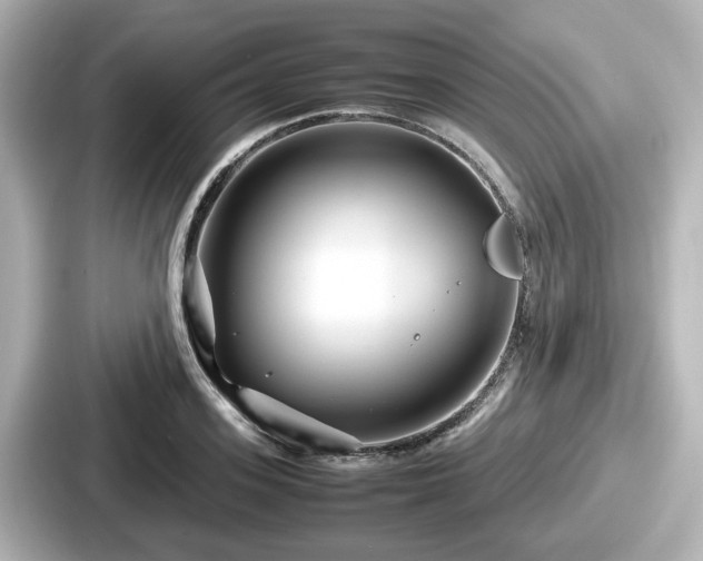 X0000087640939200705101045