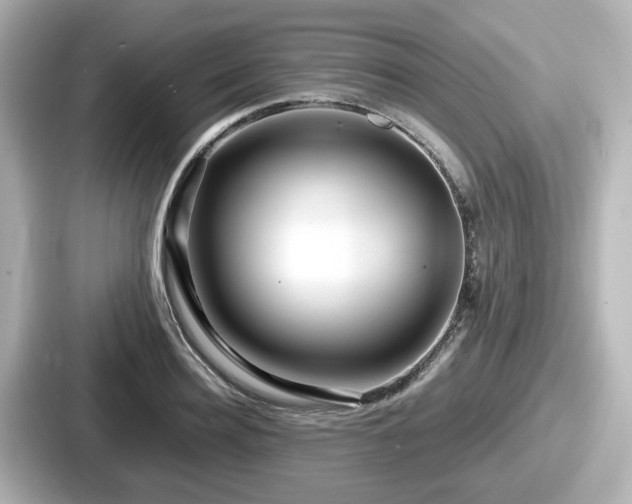 X0000087640940200705101045