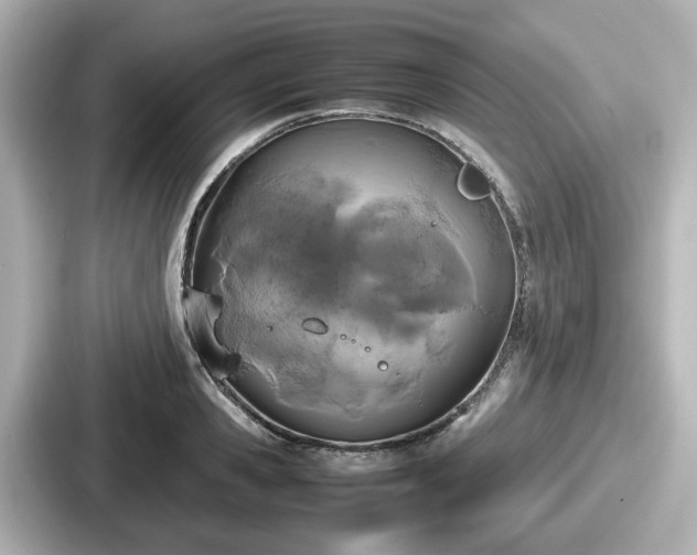 X0000087640941200705101045