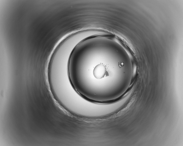 X0000087640942200705101045