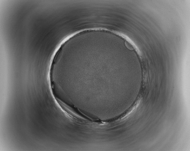 X0000087640943200705101045