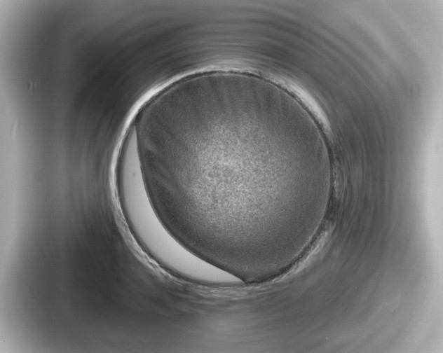 X0000087640944200705101045