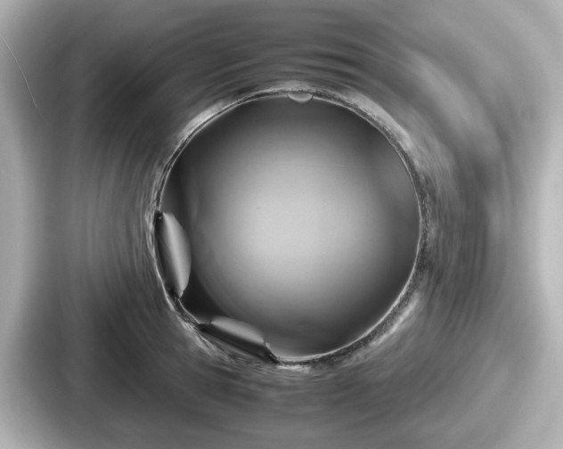 X0000087640945200705101045