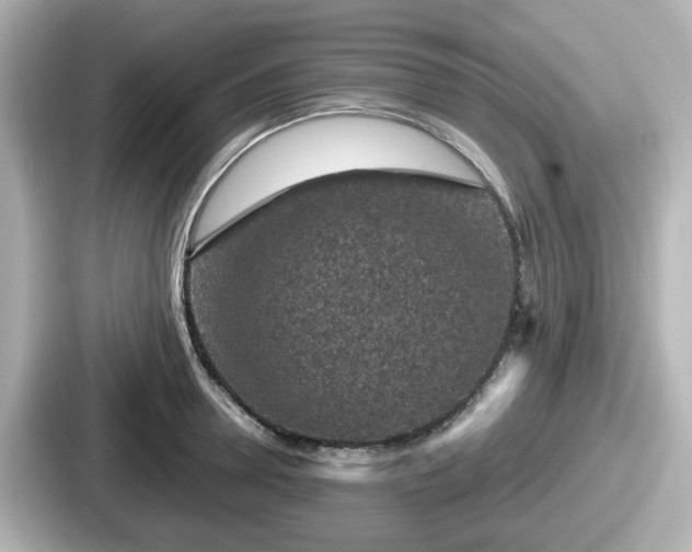 X0000087640946200705101045