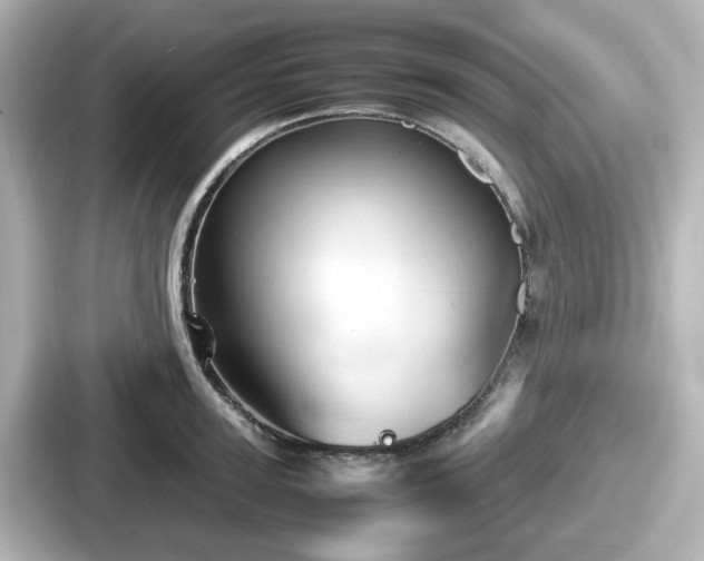 X0000087640947200705101045