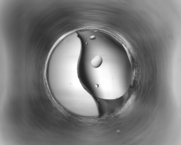 X0000087640948200705101045