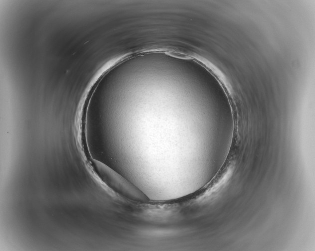 X0000087640949200705101045