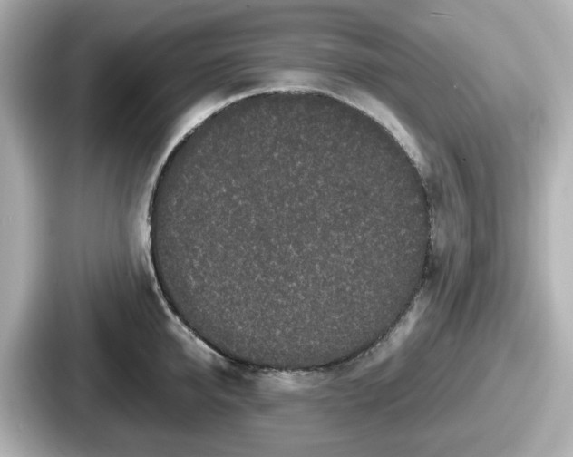 X0000087640950200705101045