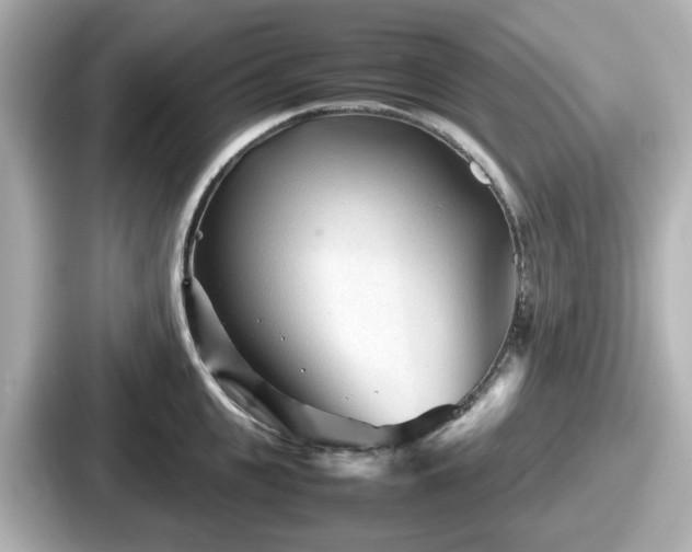 X0000087640951200705101045