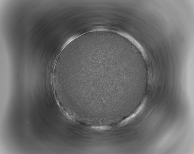 X0000087640953200705101045