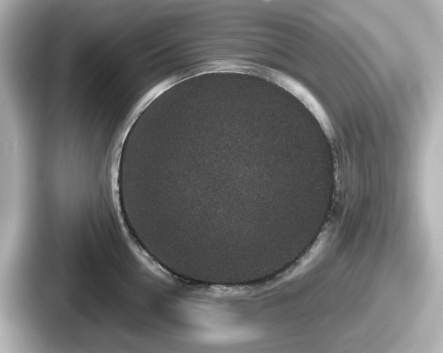 X0000087640954200705101045