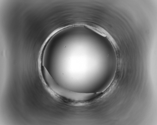 X0000087640955200705101045