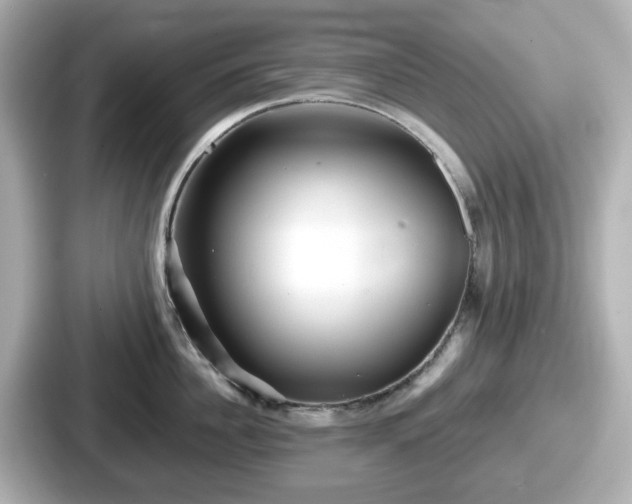 X0000087640956200705101045