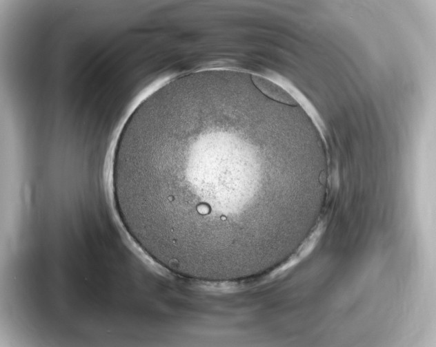 X0000087640957200705101045