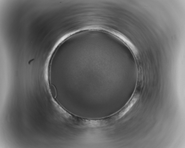 X0000087640958200705101045