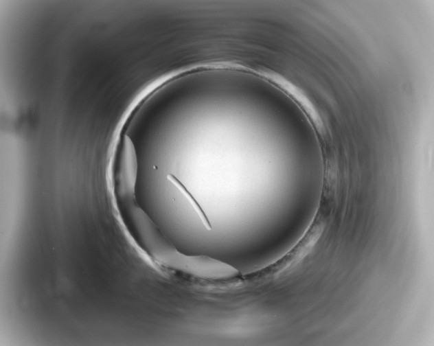 X0000087640959200705101045