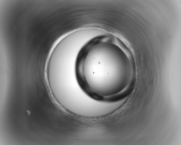 X0000087640960200705101045