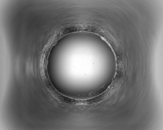 X0000087640961200705101044