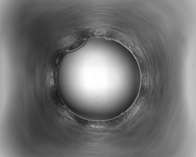 X0000087640962200705101044