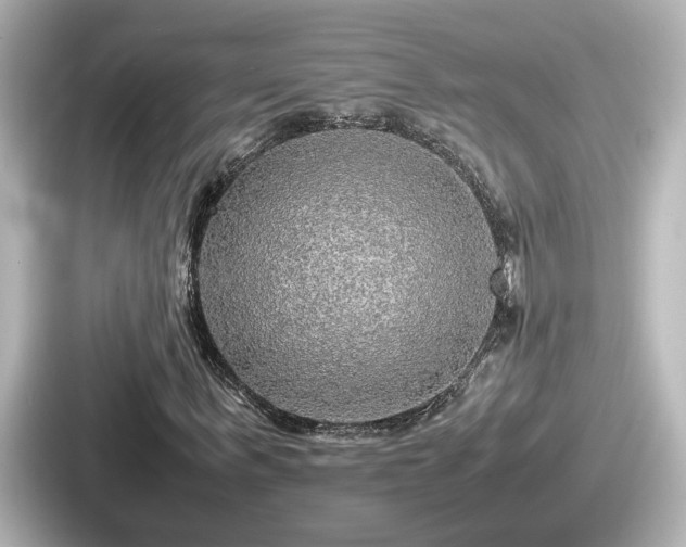 X0000087640963200705101044