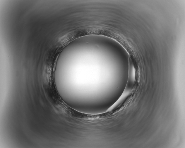 X0000087640964200705101044